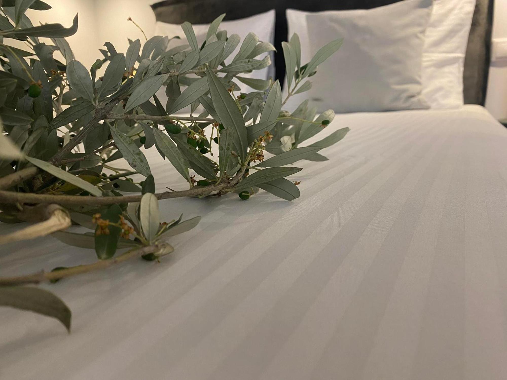 Armakha Oniropetra Luxury Suites מראה חיצוני תמונה